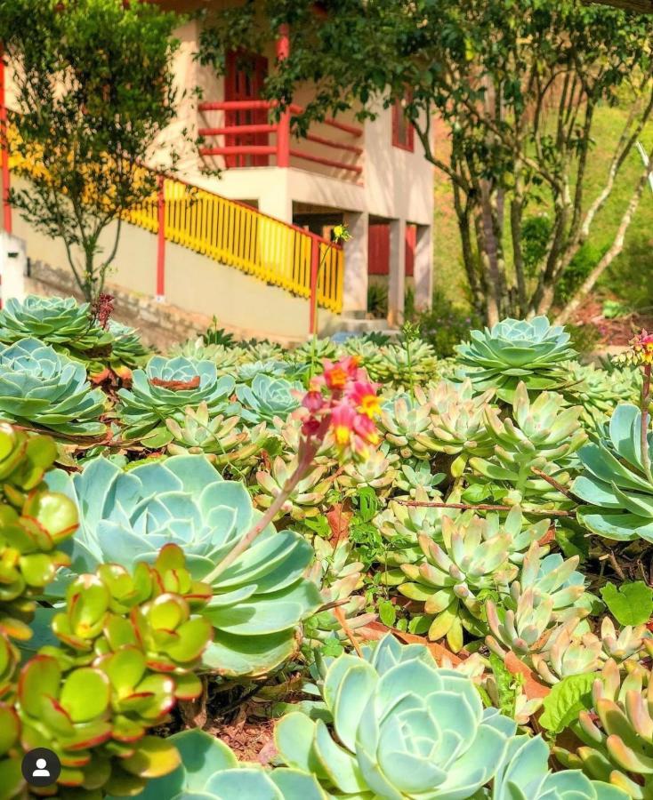 Sitio Dos Palmitos - Casa Pupunha Hotel Pedra Azul  Exterior foto